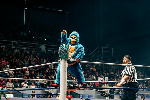 Welche Kampfsportarten sind am besten für Anfänger geeignet?